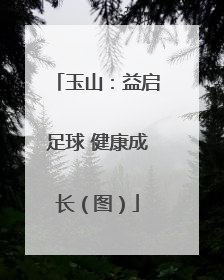 玉山：益启足球 健康成长（图）