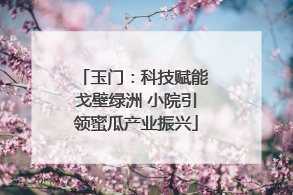 玉门：科技赋能戈壁绿洲 小院引领蜜瓜产业振兴