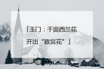 玉门：千亩西兰花开出“致富花”