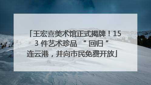 王宏喜美术馆正式揭牌！153 件艺术珍品 “ 回归 ” 连云港，并向市民免费开放