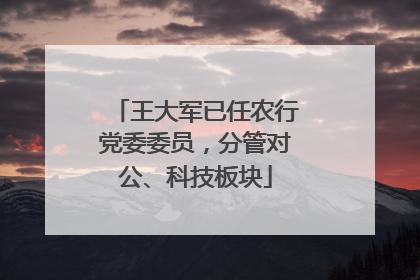 王大军已任农行党委委员，分管对公、科技板块
