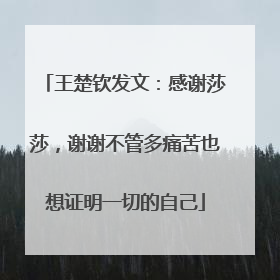 王楚钦发文：感谢莎莎，谢谢不管多痛苦也想证明一切的自己