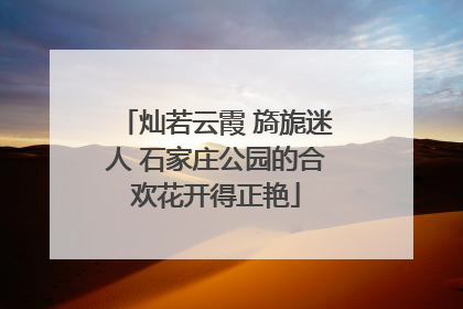 灿若云霞 旖旎迷人 石家庄公园的合欢花开得正艳