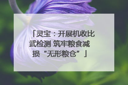 灵宝：开展机收比武检测 筑牢粮食减损“无形粮仓”