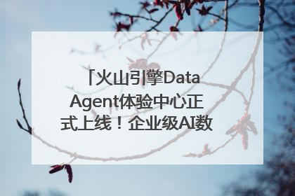 火山引擎Data Agent体验中心正式上线！企业级AI数据专家触手可及