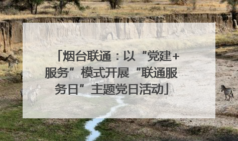 烟台联通：以“党建+服务”模式开展“联通服务日”主题党日活动