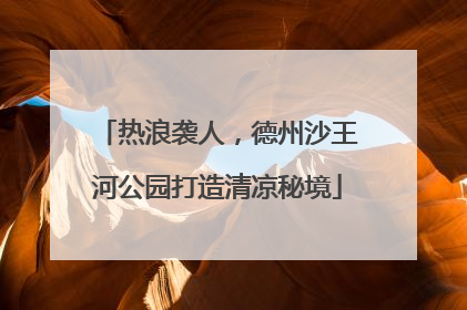 热浪袭人，德州沙王河公园打造清凉秘境