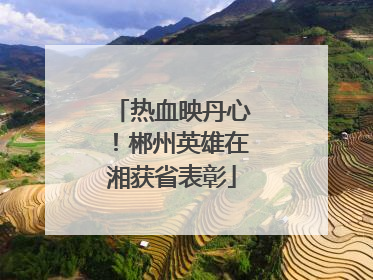 热血映丹心！郴州英雄在湘获省表彰
