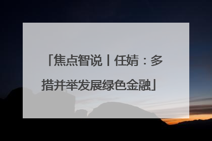 焦点智说丨任婧：多措并举发展绿色金融