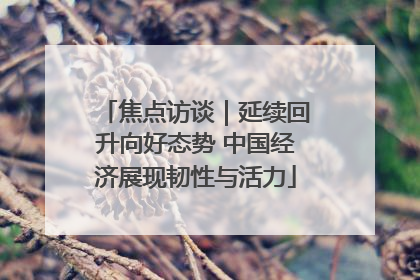 焦点访谈｜延续回升向好态势 中国经济展现韧性与活力