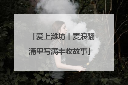 爱上潍坊丨麦浪翻涌里写满丰收故事