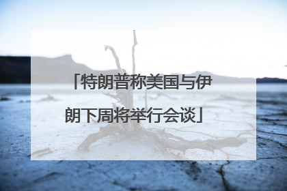 特朗普称美国与伊朗下周将举行会谈