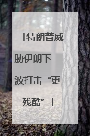 特朗普威胁伊朗下一波打击“更残酷”