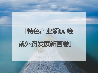 特色产业领航 绘就外贸发展新画卷
