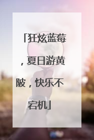 狂炫蓝莓，夏日游黄陂，快乐不宕机
