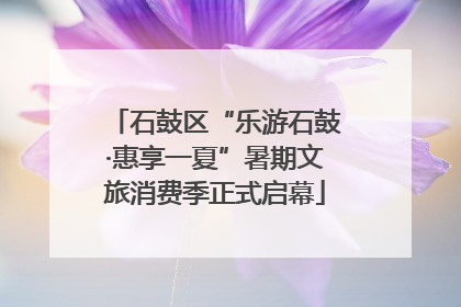石鼓区“乐游石鼓·惠享一夏”暑期文旅消费季正式启幕
