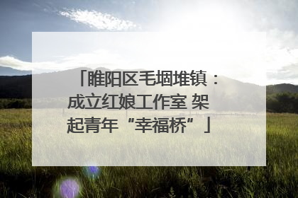 睢阳区毛堌堆镇：成立红娘工作室 架起青年“幸福桥”