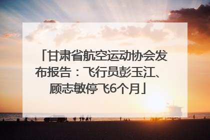 甘肃省航空运动协会发布报告：飞行员彭玉江、顾志敏停飞6个月