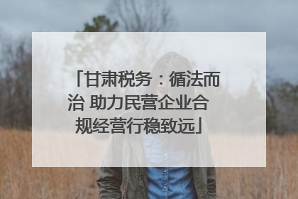 甘肃税务：循法而治 助力民营企业合规经营行稳致远