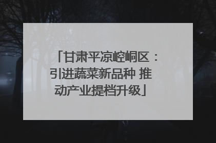 甘肃平凉崆峒区：引进蔬菜新品种 推动产业提档升级