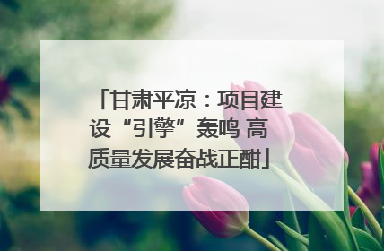 甘肃平凉：项目建设“引擎”轰鸣 高质量发展奋战正酣
