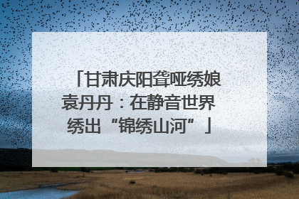 甘肃庆阳聋哑绣娘袁丹丹：在静音世界绣出“锦绣山河”