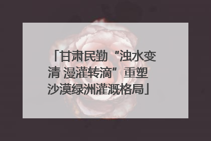 甘肃民勤“浊水变清 漫灌转滴”重塑沙漠绿洲灌溉格局