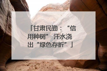 甘肃民勤：“信用种树” 汗水浇出“绿色存折”