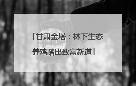 甘肃金塔：林下生态养鸡踏出致富新道