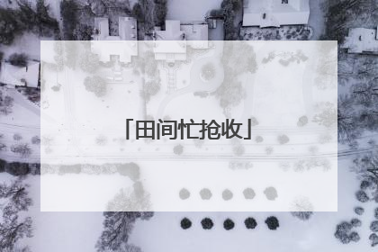 田间忙抢收