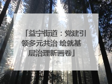益宁街道：党建引领多元共治 绘就基层治理新画卷