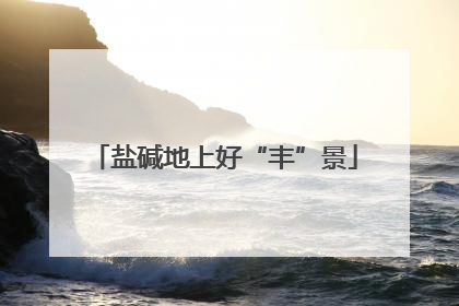 盐碱地上好“丰”景
