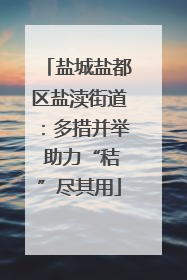 盐城盐都区盐渎街道：多措并举 助力“秸”尽其用