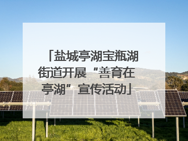 盐城亭湖宝瓶湖街道开展“善育在亭湖”宣传活动