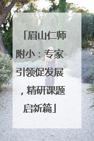 眉山仁师附小：专家引领促发展，精研课题启新篇