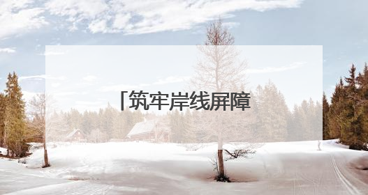 筑牢岸线屏障，绘就警民同心的文明画卷