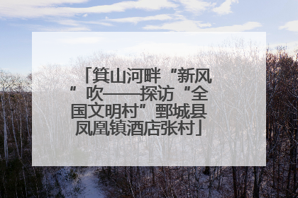 箕山河畔“新风”吹——探访“全国文明村”鄄城县凤凰镇酒店张村