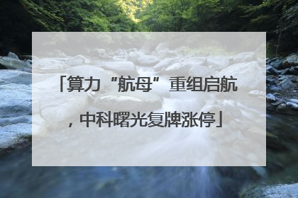 算力“航母”重组启航，中科曙光复牌涨停