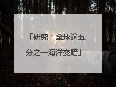 研究：全球逾五分之一海洋变暗