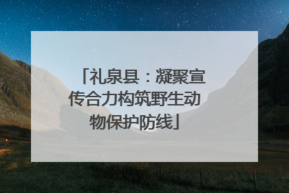 礼泉县：凝聚宣传合力构筑野生动物保护防线