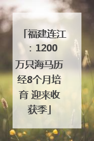 福建连江：1200万只海马历经8个月培育 迎来收获季