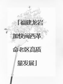 福建龙岩加快闽西革命老区高质量发展