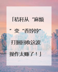 秸秆从“麻烦”变“香饽饽” 打捆回收这波操作太赚了！
