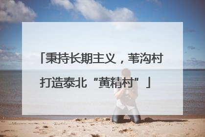 秉持长期主义，苇沟村打造泰北“黄精村”