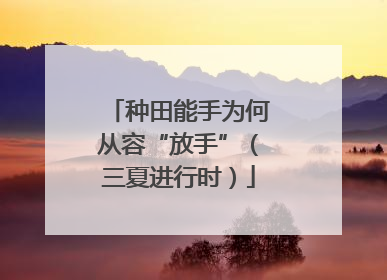 种田能手为何从容“放手”（三夏进行时）