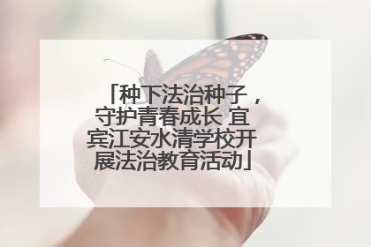 种下法治种子，守护青春成长 宜宾江安水清学校开展法治教育活动