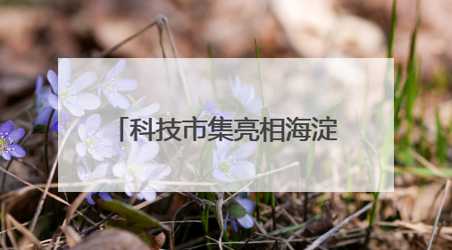 科技市集亮相海淀公园 前沿成果“飞入寻常百姓家”