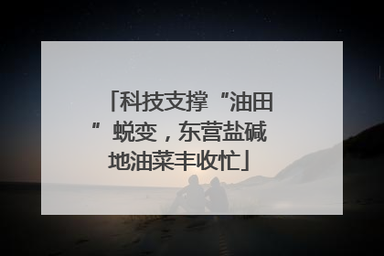 科技支撑“油田”蜕变，东营盐碱地油菜丰收忙
