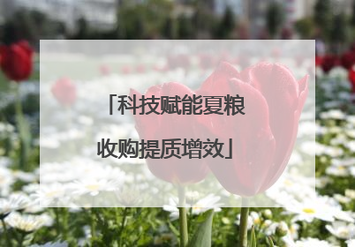 科技赋能夏粮收购提质增效