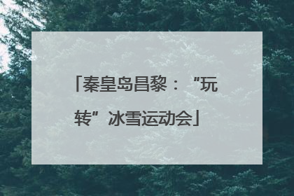 秦皇岛昌黎：“玩转”冰雪运动会